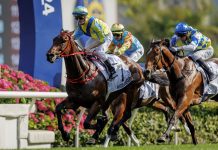 Massive Sovereign was previously raced by Coolmore.