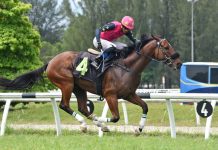 Four-Year-Old Sprint back on the agenda at Selangor Heart Of Fire is one of the standout four-year-olds.