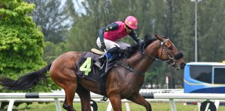 Heart Of Fire is one of the standout four-year-olds.