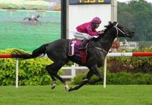 Ace Of Diamonds (Bruno Queiroz) shoots clear to win the Group 2 Singapore Guineas on Saturday.