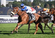 Autumn Angel is aiming to be the first of her sex to win the race in 14 years.