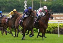 Cavalry (Ruan Maia, on the outside) motors past Raising Sixty-One (Carlos Henrique) to claim the Class 2 race.