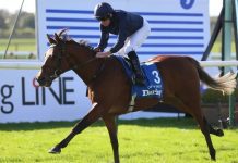City Of Troy winning the Dewhurst (Nigel French/PA)