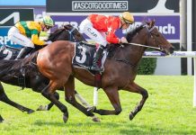 Dance Boss to strut his stuff around Ascot Four-year-old Dance Boss is racing in a rich vein of form.