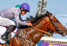 Fortune’s back – and Snaith has him on a half-brother to Eight On Eighteen