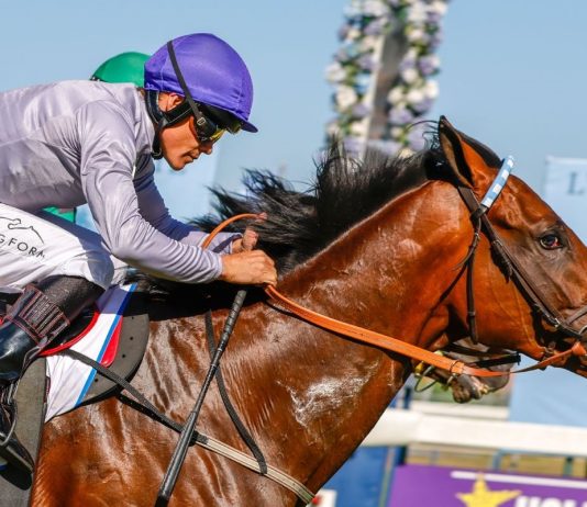 Fortune’s back – and Snaith has him on a half-brother to Eight On Eighteen