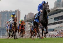 William Buick drives Rebel’s Romance clear.