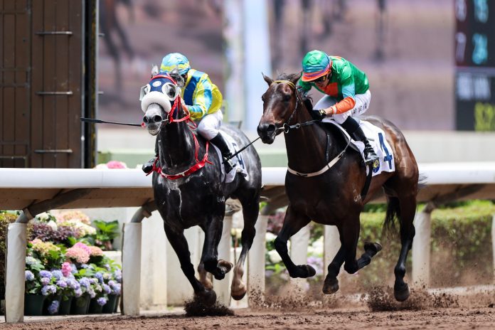 GOjaGb_akAEYF0Z Sha Tin all-weather action. Photo: HKJC