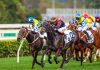 Sha Tin Racing Action