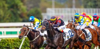 Sha Tin Racing Action