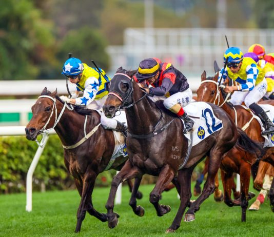 Sha Tin Racing Action