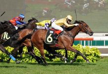 Istataba seen here at her last win in a Class 3 race on 6 August.