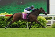 Lim's Kosciuszko (Marc Lerner) is unstoppable in the Group 1 Kranji Mile.