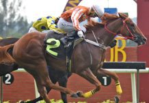 Pacific Windsor eyes back-to-back Selangor wins