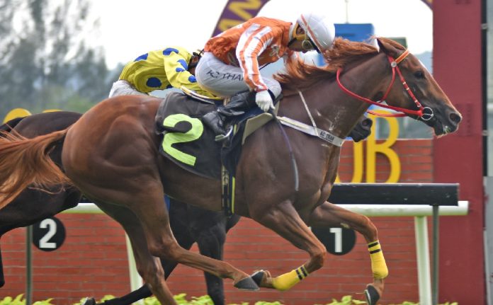 Pacfiic Windsor Pacific Windsor eyes back-to-back Selangor wins