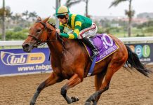 Sleek As Silk looks a fair bet