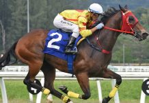 Super Happy is targeting four wins on the bounce.