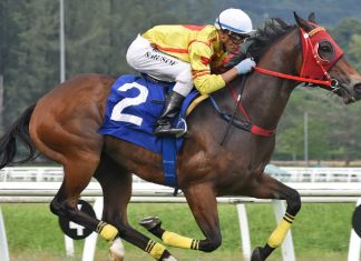 Super Happy is targeting four wins on the bounce.