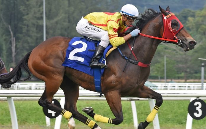 SUPER HAPPY Super Happy is targeting four wins on the bounce.