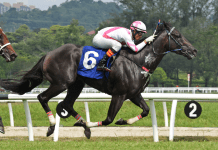 Captain Twentytwo will be attempting to go three from three in the 1020m Class 4 contest (Race 10) at Selangor.