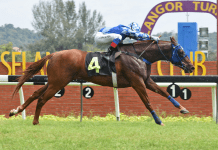 Captain Legacy has so-far displayed promise in Malaysia.