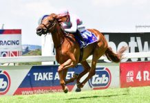 Diego to double up as Calvin hits higher heights