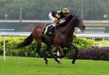 Tommy Gun (Ruan Maia) off to his debut win in Race 2.