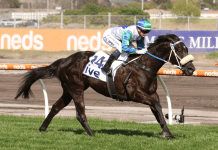 I Wish I Win is the warm favourite for the Doomben 10,000.