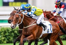 La City Blanche gives Tony Cruz his fourth win as a trainer in the Queen Mother Memorial Cup.