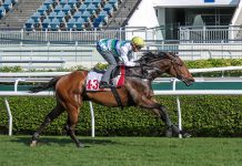 Zac Purton guides Voyage Bubble to an easy trial win.