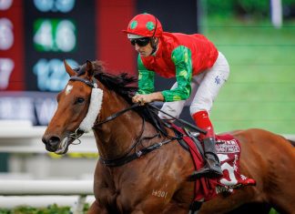 Invincible Sage wins the G1 Chairman’s Sprint Prize (1200m).