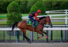 Romantic Warrior works at Tokyo Racecourse.