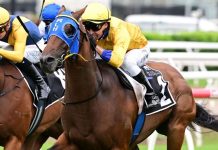 Press Link is a standout chance in the Queensland Guineas.