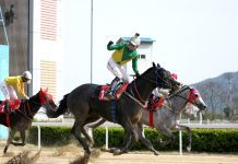 Success Baekpa won the KRA Cup Mile (Pic: KRA)