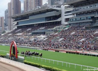 Sha Tin Racing Action.