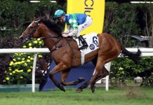Purton upbeat about Copartner Prance as Ng, Lui vie for trainers’ title Copartner Prance makes it four in a row.