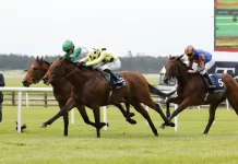 St James’s Palace poised to be crowning glory for clash of the Classic winners Rosallion is ready for his Royal Ascot rematch with Notable Speech (Damien Eagers/PA)