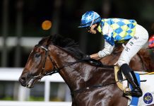 ‘Future star’ Galaxy Patch rolls to Group 3 Premier Plate triumph Galaxy Patch scores with Vincent Ho at Sha Tin.