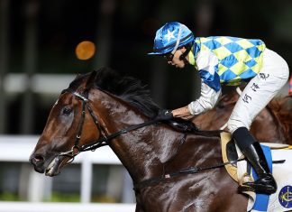 Galaxy Patch scores with Vincent Ho at Sha Tin.