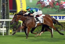 Copartner Prance edges out Duke Wai.