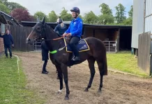 Henry Dwyer savouring Royal Ascot experience with Asfoora Australian sprinter Asfoora is aiming for British Group One glory at Royal Ascot (Adam Morgan/PA)