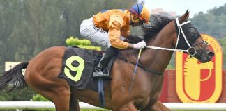 Antipodean remains unbeaten in five starts.