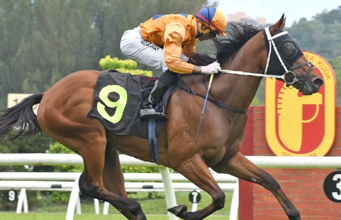 Antipodean Antipodean remains unbeaten in five starts.