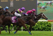 Bestseller ready for third chapter Bestseller (Carlos Henrique) would not let Street Of Dreams (Ronnie Stewart) pass in the Group 3 Committee's Prize on 9 March 2024.