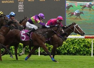 Bestseller (Carlos Henrique) would not let Street Of Dreams (Ronnie Stewart) pass in the Group 3 Committee's Prize on 9 March 2024.