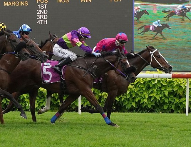 Bestseller (Carlos Henrique) would not let Street Of Dreams (Ronnie Stewart) pass in the Group 3 Committee's Prize on 9 March 2024.