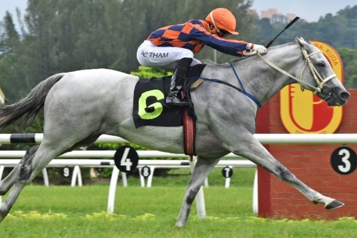 Cheval Blanc