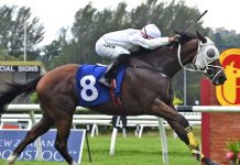 Penang beckons for a Grand Choice Grand Choice is well placed to atone for a last-start defeat.