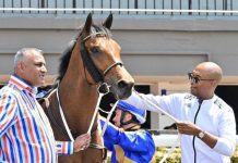 It is back to the turf again at Fairview