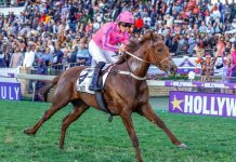 Mrs Geriatrix to call the tune